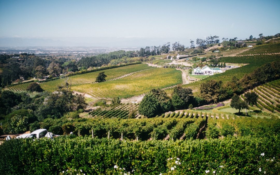 L’accord de mets avec du vin rose