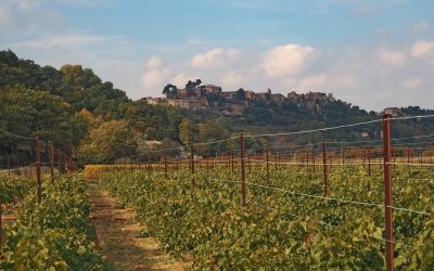 La Provence et ses terres utiles à notre gastronomie